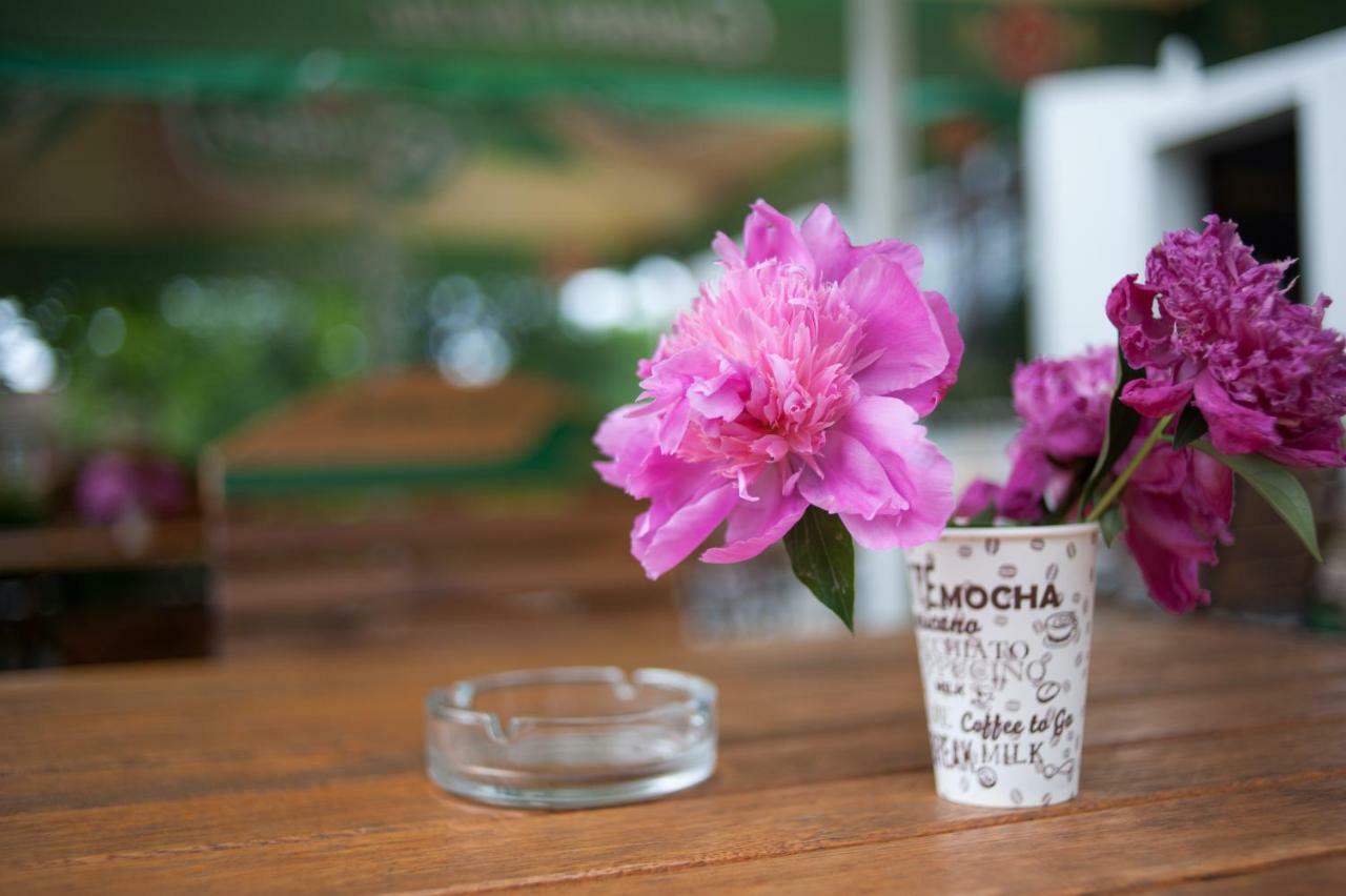 Pension Florica Питещ Екстериор снимка